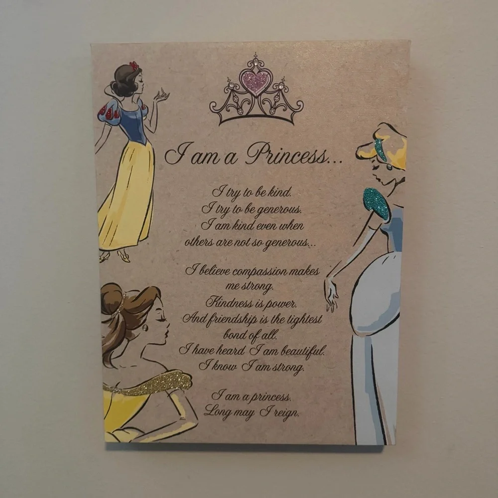 Disney Princess Themed Art Print on Canvas